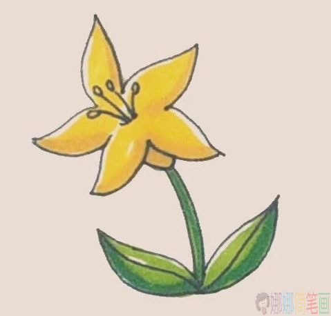 儿童简笔画百合花怎么画-6