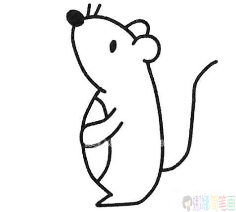 卡通小老鼠简笔画法,小老鼠简笔画图片-2
