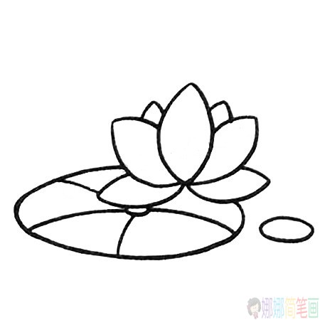 简单漂亮的荷花简笔画图片教程-3