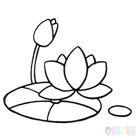 简单漂亮的荷花简笔画图片教程-4