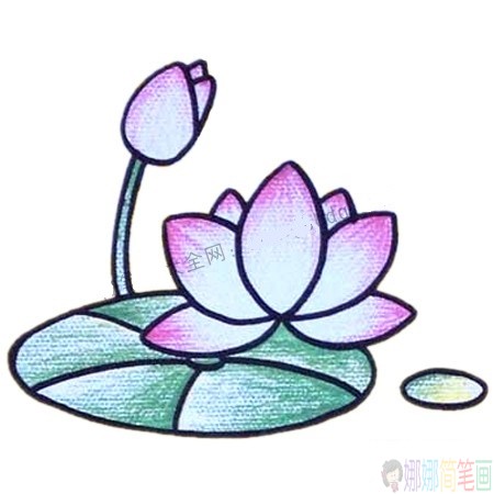 简单漂亮的荷花简笔画图片教程-5