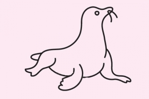 海狮简笔画图片大全_可爱海狮简笔画-8