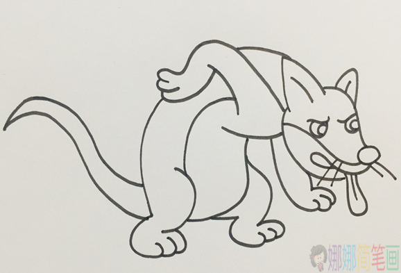 黄鼠狼简笔画,黄鼠狼画法步骤-4