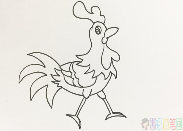 大公鸡简笔画画法简单好看-5