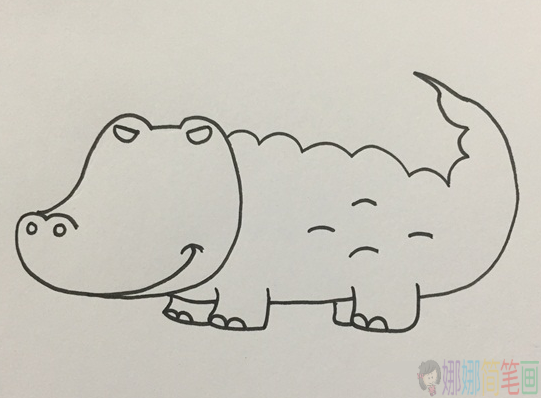 鳄鱼简笔画,鳄鱼怎么画好看-4