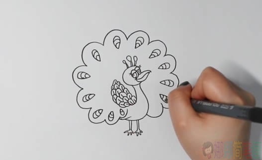 孔雀简笔画画法,孔雀简笔画-3