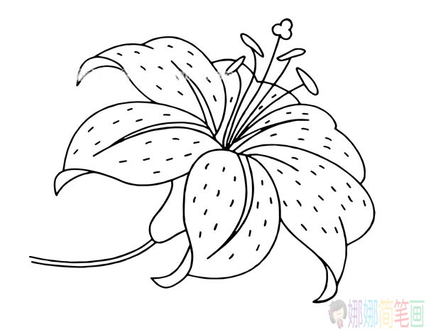 一组花朵简笔画线稿-3