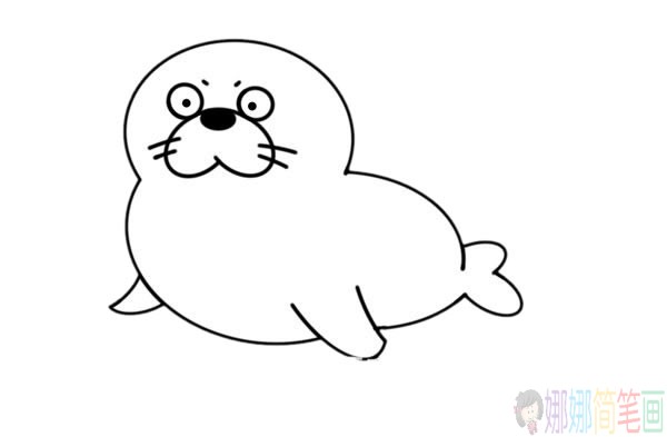 海狮动物简笔画图片-6