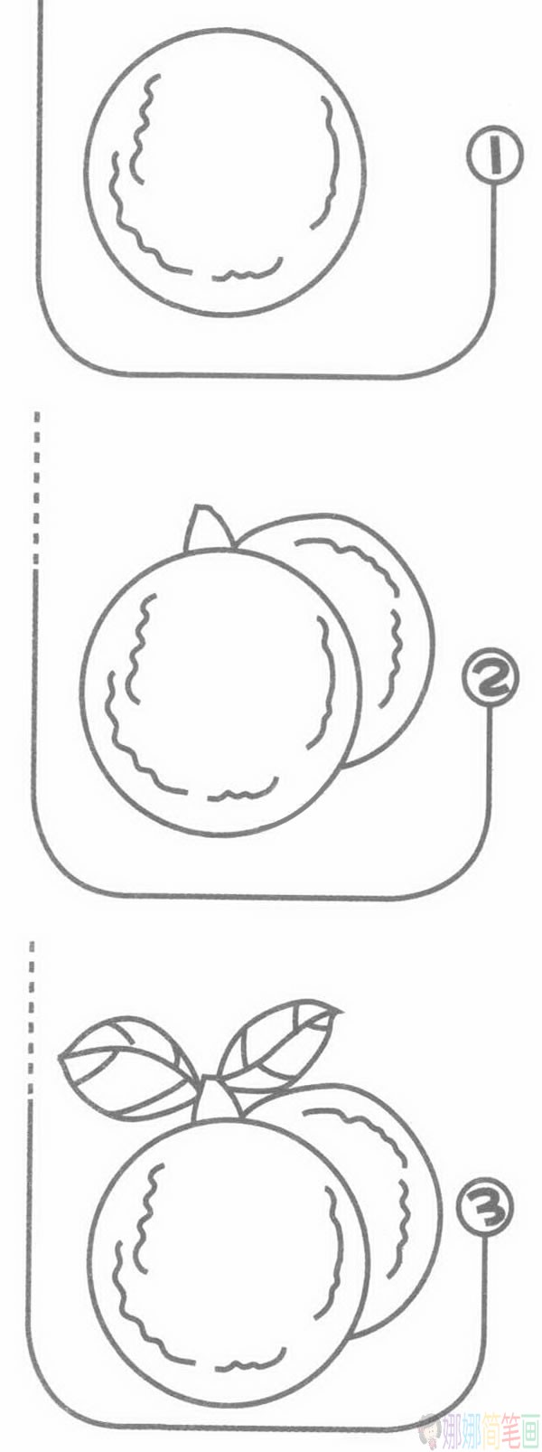 杨梅简笔画,杨梅怎么画-2