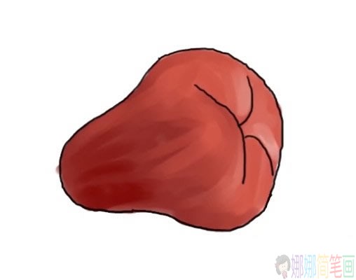 莲雾水果简笔画-1
