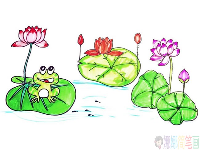 漂亮的荷花池儿童简笔画图片-1