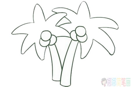 好看的椰子树简笔画画法步骤图片大全-5