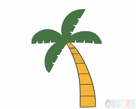 好看的椰子树简笔画画法步骤图片大全-8