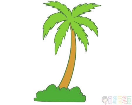 好看的椰子树简笔画画法步骤图片大全-9