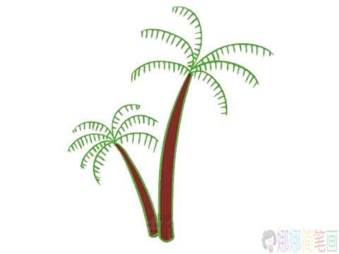 好看的椰子树简笔画画法步骤图片大全-11