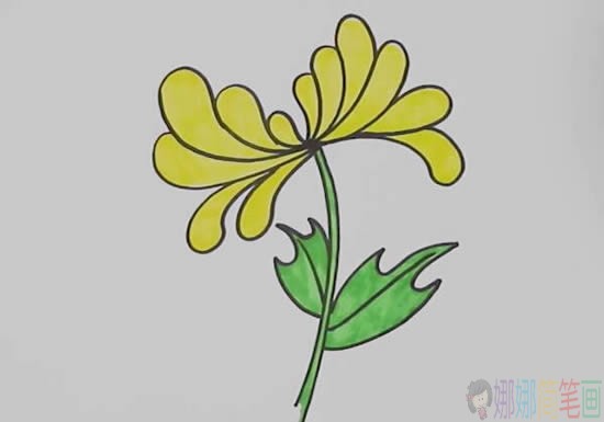 菊花简笔画,菊花的画法步骤-1