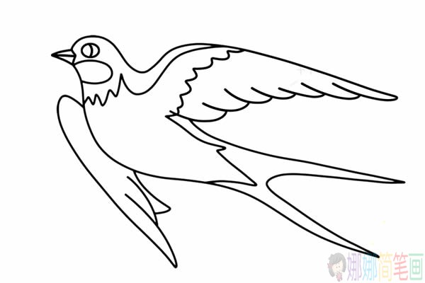 漂亮的小燕子简笔画步骤,小燕子简笔画图片-4