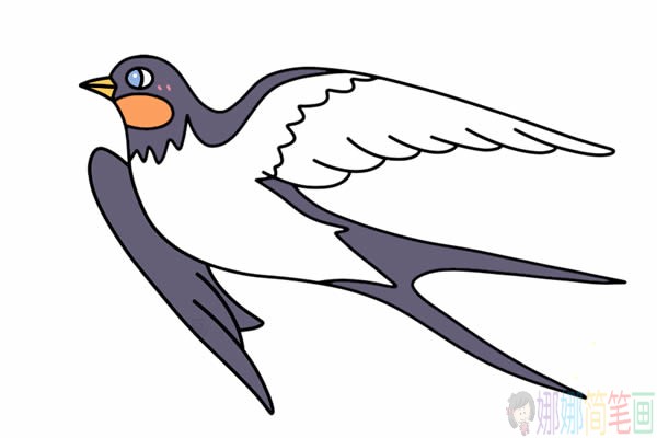 漂亮的小燕子简笔画步骤,小燕子简笔画图片-5