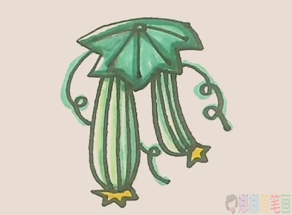 丝瓜简笔画,丝瓜少儿简笔画-1