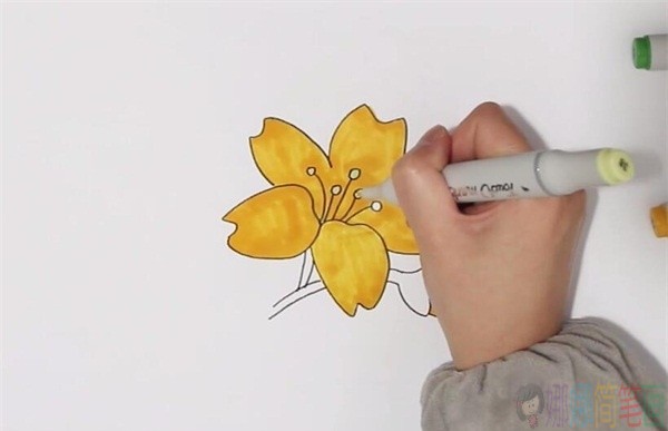 黄色花朵简笔画-1