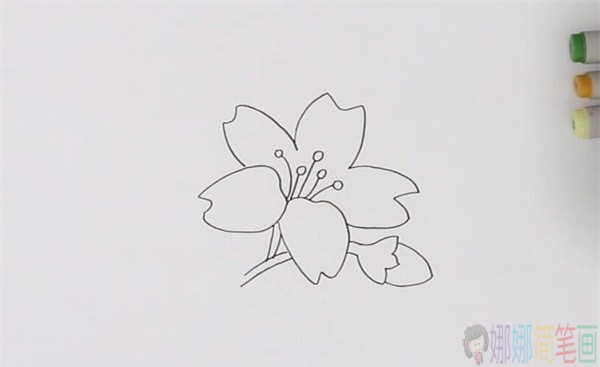 黄色花朵简笔画-4