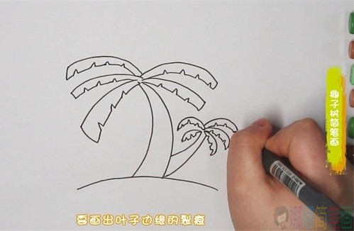 椰子树简笔画,椰子树儿童绘画-2