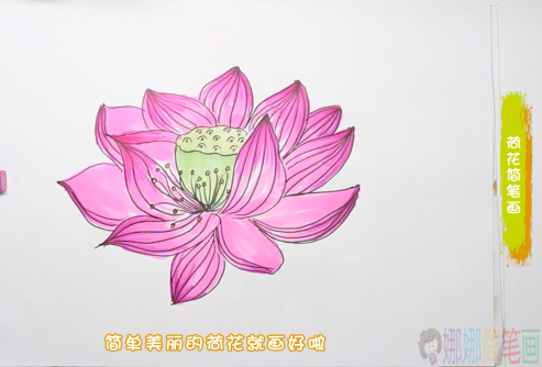 荷花简笔画,幼儿荷花的画法-1