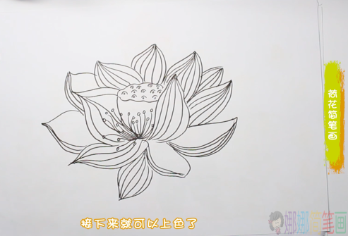 荷花简笔画,幼儿荷花的画法-3