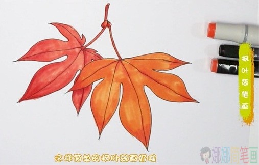 枫叶简笔画,秋天的枫叶怎么画-1