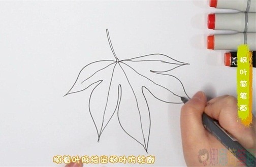 枫叶简笔画,秋天的枫叶怎么画-2