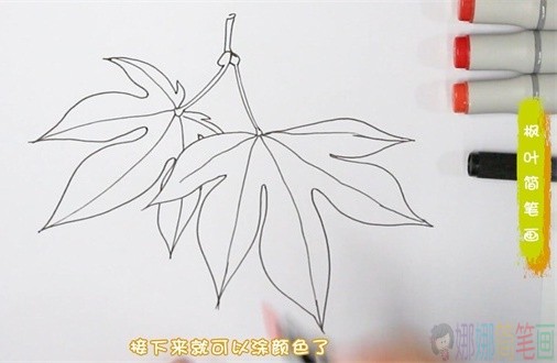 枫叶简笔画,秋天的枫叶怎么画-3