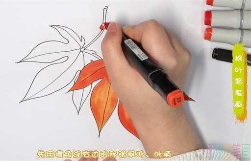 枫叶简笔画,秋天的枫叶怎么画-4