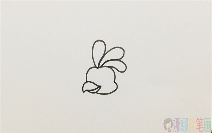 孔雀简笔画,孔雀怎么画好看-2