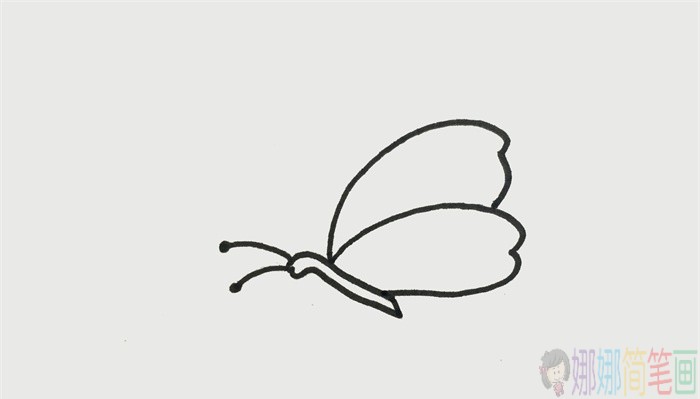 教你画简单好看的蝴蝶简笔画-2