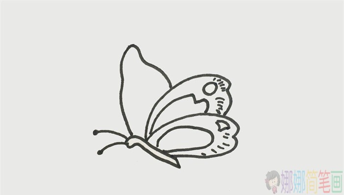 教你画简单好看的蝴蝶简笔画-3
