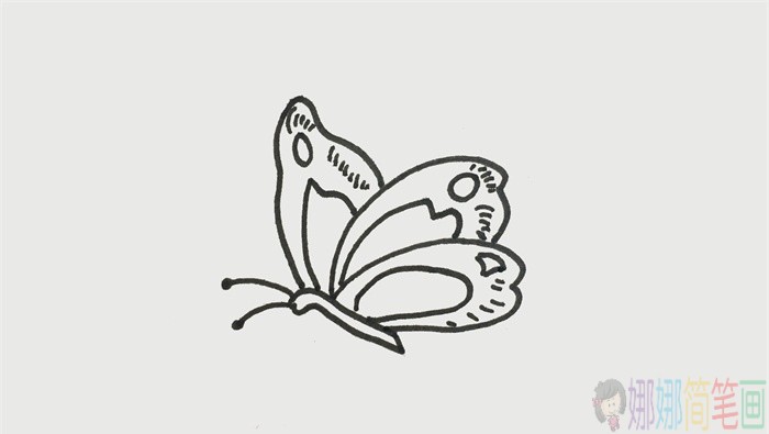教你画简单好看的蝴蝶简笔画-4