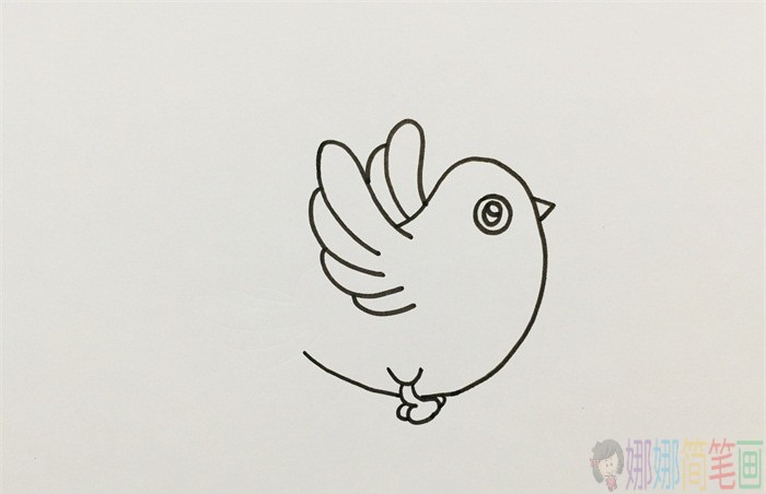 白鸽简笔画,和平鸽儿童画-4