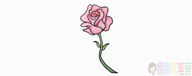 粉红色蔷薇花朵简笔画-1