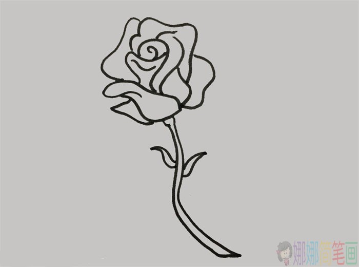 粉红色蔷薇花朵简笔画-5