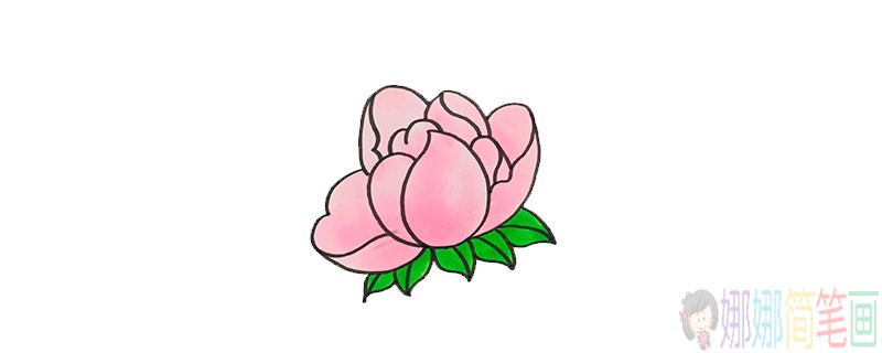 粉红色花朵简笔画画法-1