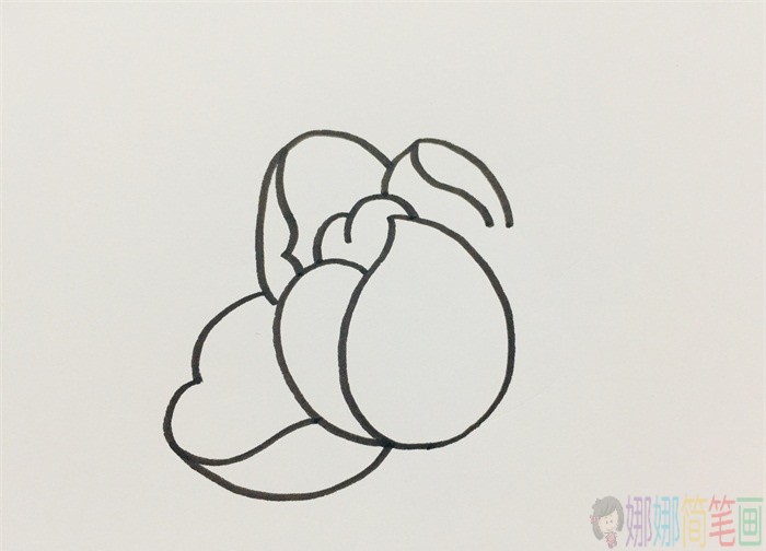 粉红色花朵简笔画画法-4