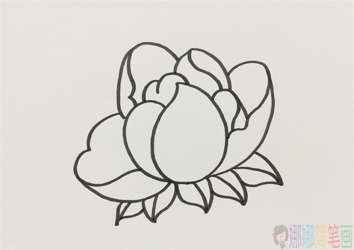 粉红色花朵简笔画画法-5
