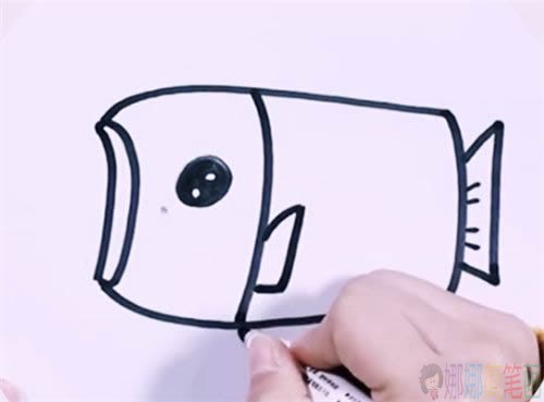 灯笼鱼简笔画画法-6