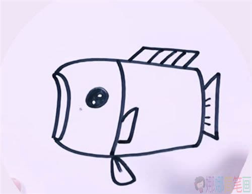 灯笼鱼简笔画画法-7