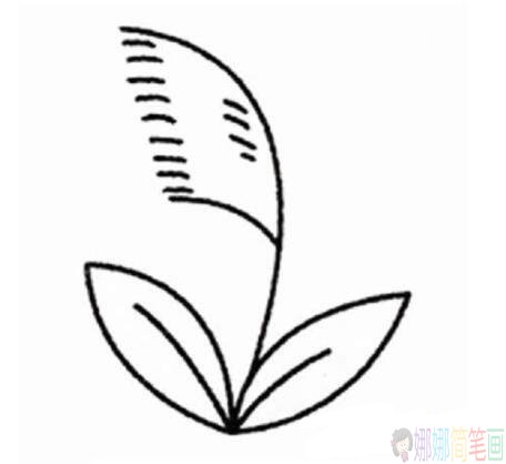 芦苇彩色简笔画图片-1