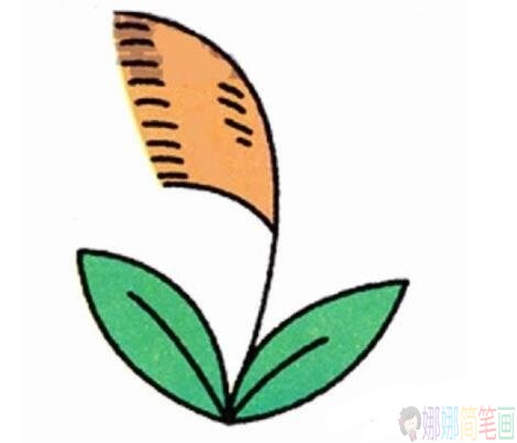 芦苇彩色简笔画图片-2