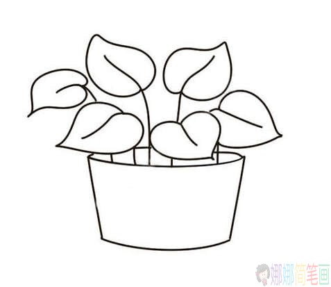绿萝彩色植物简笔画-1