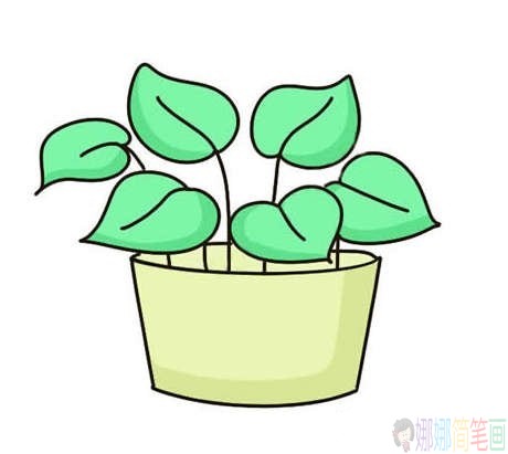 绿萝彩色植物简笔画-2