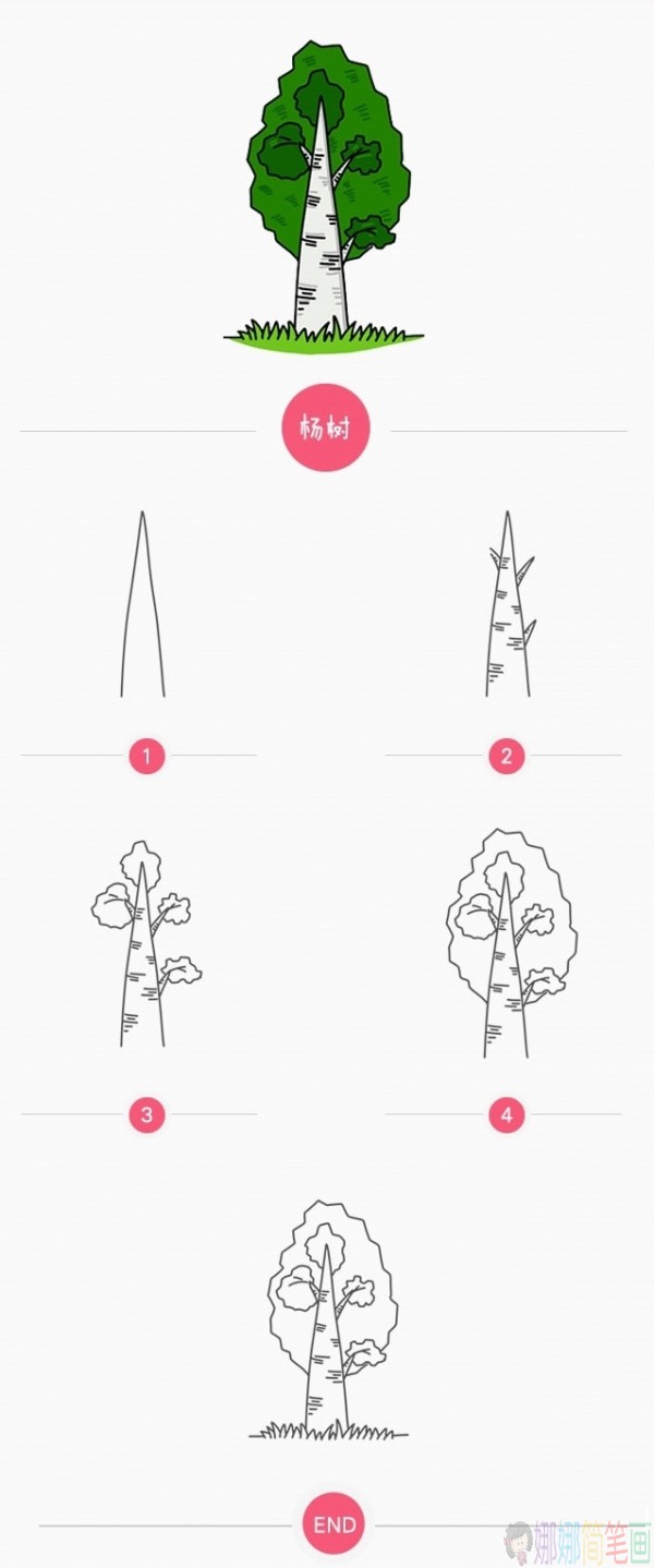 简单好看的杨树简笔画教程-1