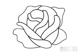 玫瑰花简笔画分步骤画法-3